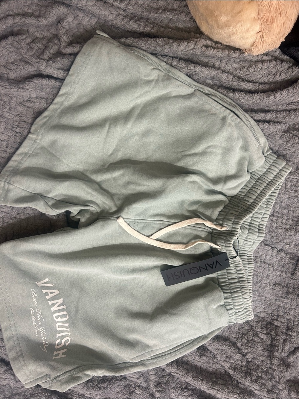 Vanquish Men's Light Sage Green Athletic Drawstring Shorts